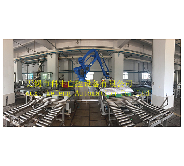 Double-line palletizing production line Double-line palletizing production line